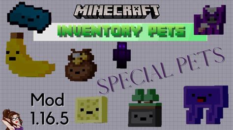 how to feed inventory pets - inventory pets mod 1.16.5.